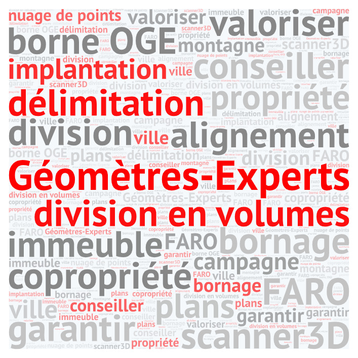Nuage de mots géomètres experts